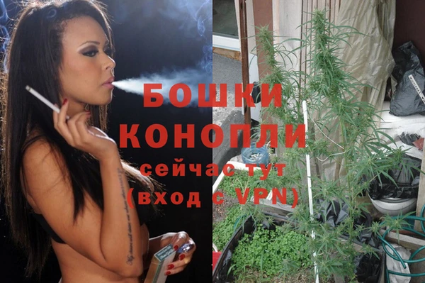дурь Пестово
