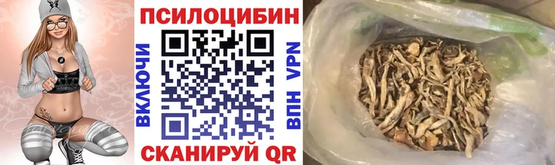 Галлюциногенные грибы Psilocybine cubensis  Углегорск 