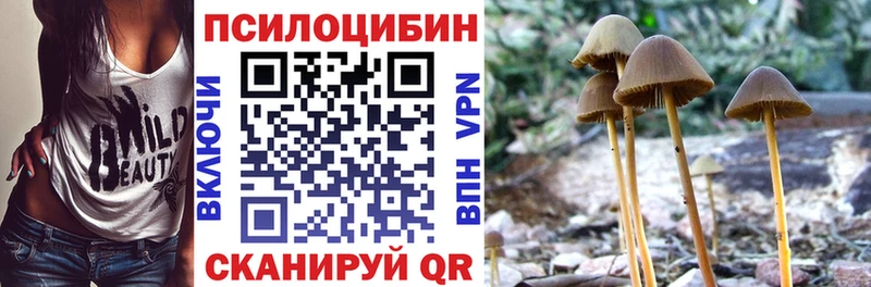 Галлюциногенные грибы мицелий Углегорск